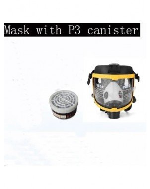 Protective Electric Constant Flow Supplied Air Fed Full Face