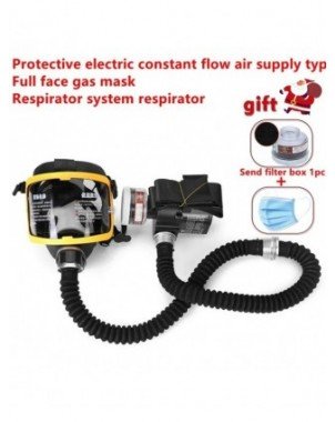 Protective Electric Constant Flow Supplied Air Fed Full Face