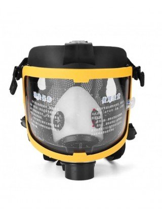 Protective Electric Constant Flow Supplied Air Fed Full Face