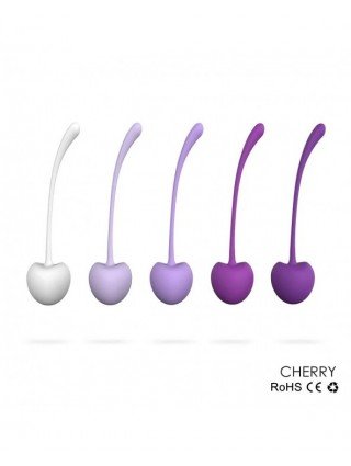 5Pcs Safe Silicone Smart Kegel Ball Cherry Ben Wa Ball Geisha