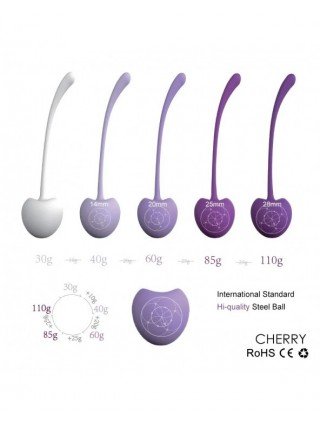 5Pcs Safe Silicone Smart Kegel Ball Cherry Ben Wa Ball Geisha