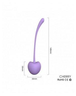 5Pcs Safe Silicone Smart Kegel Ball Cherry Ben Wa Ball Geisha