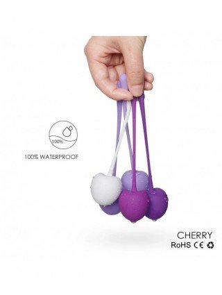 5Pcs Safe Silicone Smart Kegel Ball Cherry Ben Wa Ball Geisha