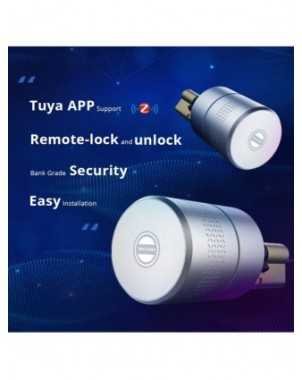 Home Improvement-Hardware-Zemismart Tuya Zigbee Smart Lock Core