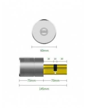 Home Improvement-Hardware-Zemismart Tuya Zigbee Smart Lock Core