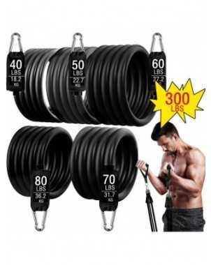 Other Sports Equipment-Fitness & Bodybuilding-300lb Fitness