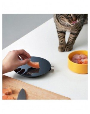 Kitchen-Kitchen Tools & Gadgets-HOTO Smart Kitchen Scale