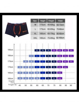 Underwear & Loungewear-Briefs-EXILIENS Brand New Silk Boxer Men