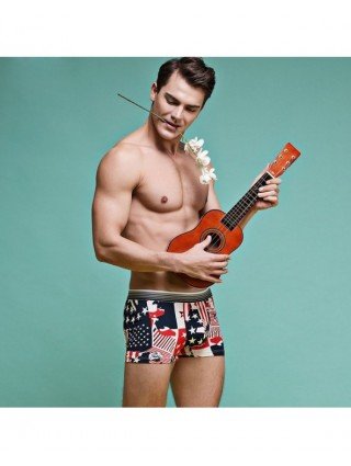 Underwear & Loungewear-Briefs-Milk Silk Soft Breathable Fashion