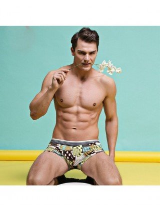 Underwear & Loungewear-Briefs-Milk Silk Soft Breathable Fashion