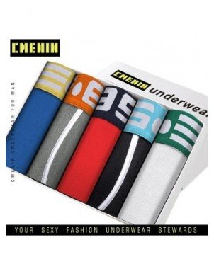Underwear & Loungewear-Briefs-5pcs/lot Men`s Underwear Boxer