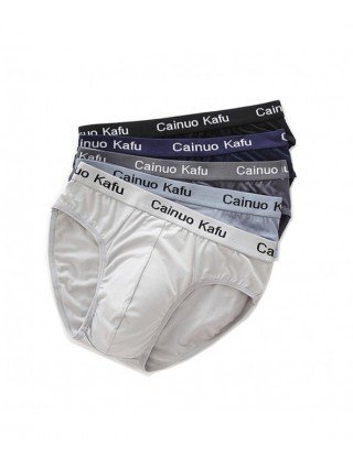 Underwear & Loungewear-Briefs-4Pcs Men`s Briefs Mesh Silk