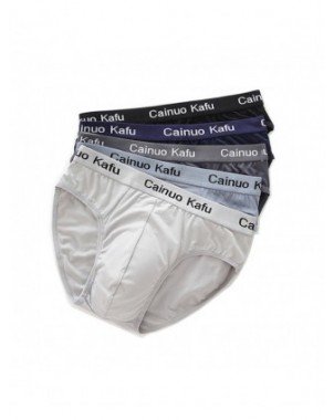 Underwear & Loungewear-Briefs-4Pcs Men`s Briefs Mesh Silk