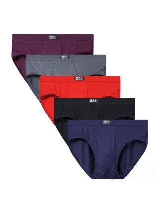 Underwear & Loungewear-Briefs-5pcs/Lot Modal Men`s Underwear