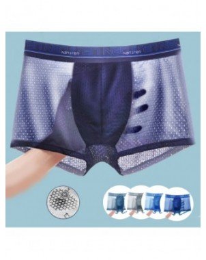 Underwear & Loungewear-Briefs-Boxers Men Ice Silk Mesh Boxer