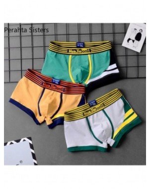 Underwear & Loungewear-Briefs-3Pcs/Lot Mens Shorts Panties