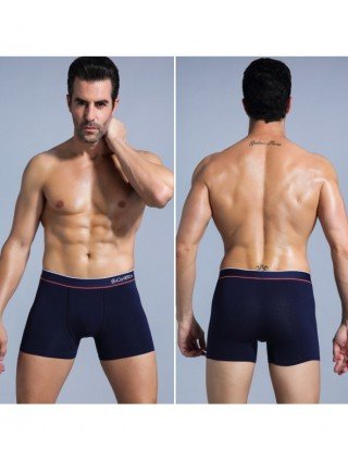 Underwear & Loungewear-Briefs-Shorts Men`s Panties Underwear