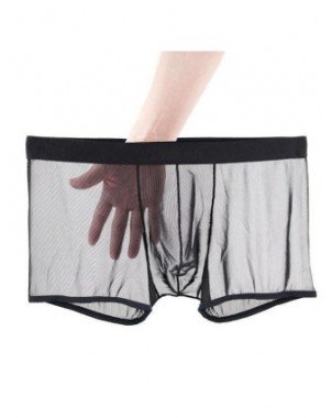 Underwear & Loungewear-Briefs-Sexy Lace Underpants Summer Thin