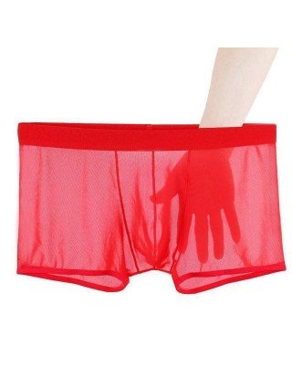 Underwear & Loungewear-Briefs-Sexy Lace Underpants Summer Thin