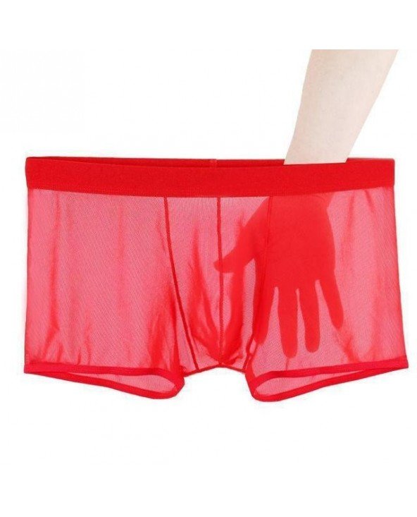 Underwear & Loungewear-Briefs-Sexy Lace Underpants Summer Thin