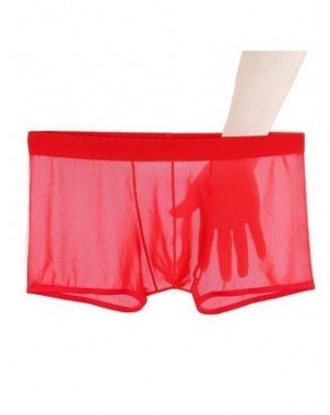 Underwear & Loungewear-Briefs-Sexy Lace Underpants Summer Thin