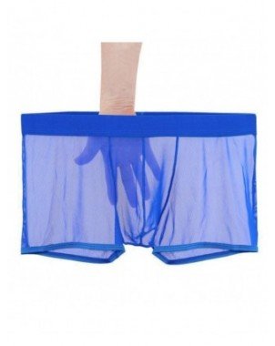 Underwear & Loungewear-Briefs-Sexy Lace Underpants Summer Thin