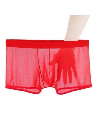 Underwear & Loungewear-Briefs-Sexy Lace Underpants Summer Thin