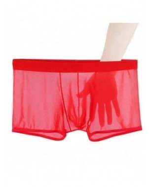 Underwear & Loungewear-Briefs-Sexy Lace Underpants Summer Thin