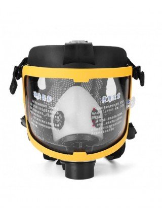 Protective Electric Constant Flow Supplied Air Fed Full Face