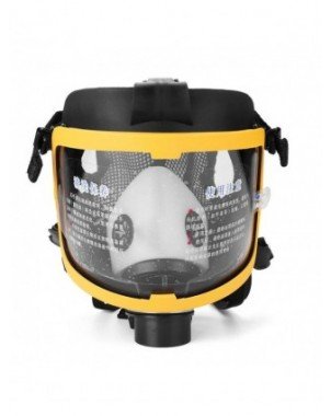 Protective Electric Constant Flow Supplied Air Fed Full Face