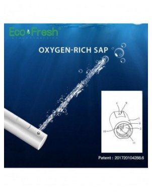 Household Items-Bath and WC items-Ecofresh Intelligent Toilet