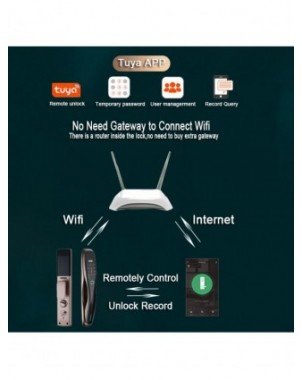Smart Electronics-Smart Home Appliances-Tuya Smart Digital Door