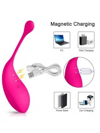 Masturbaciniai, Pompos-Stimuliatoriai moterims-Bluetooths Dildo