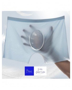 Underwear & Loungewear-Briefs-1 Pc Mens Boxer Shorts Ice Silk