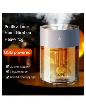Health Care-Personal Health Care Items-2000ML Air Humidifier