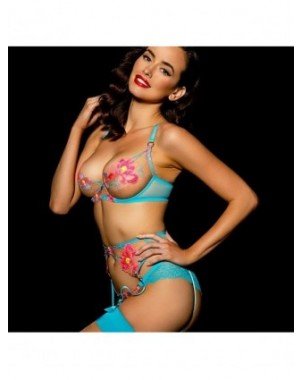 Seksuali apranga-Apatinis trikotažas-Woman Sexy Embroidered Bra
