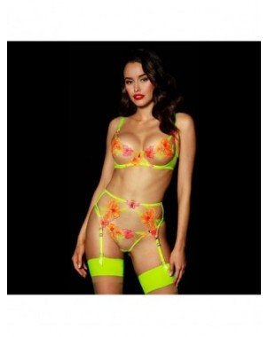 Seksuali apranga-Apatinis trikotažas-Woman Sexy Embroidered Bra
