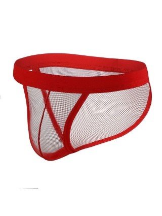 Seksuali apranga-Vyrams-Sexy Mesh Men's Panties Hollow G-String