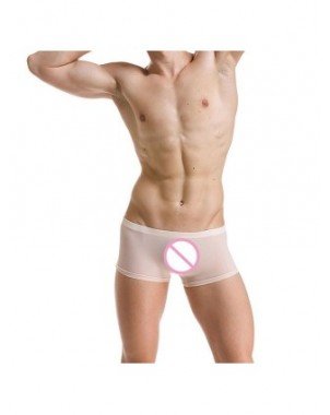 Seksuali apranga-Vyrams-Mens Sexy Underwear Ice Silk Boxers