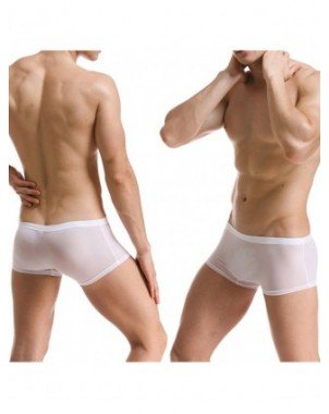 Seksuali apranga-Vyrams-Mens Sexy Underwear Ice Silk Boxers