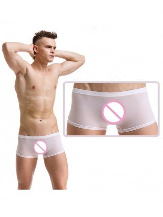 Seksuali apranga-Vyrams-Mens Sexy Underwear Ice Silk Boxers