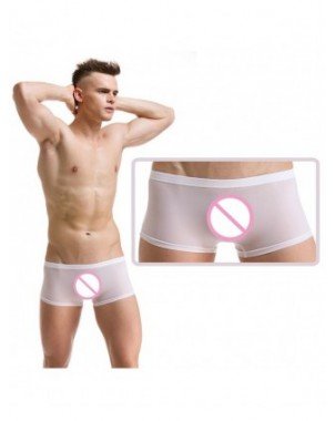 Seksuali apranga-Vyrams-Mens Sexy Underwear Ice Silk Boxers