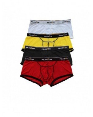 Seksuali apranga-Vyrams-Men's Sexy Mesh Boxer Briefs Shorts