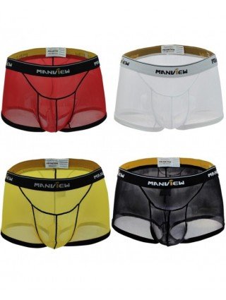 Seksuali apranga-Vyrams-Men's Sexy Mesh Boxer Briefs Shorts