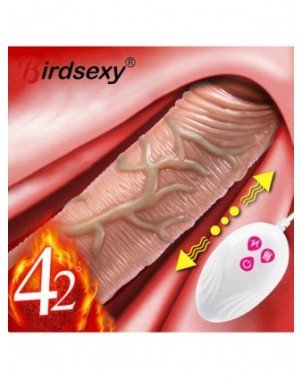 Vibratoriai, Dildo-Išmanieji-Telescopic Vibrating Thrusting