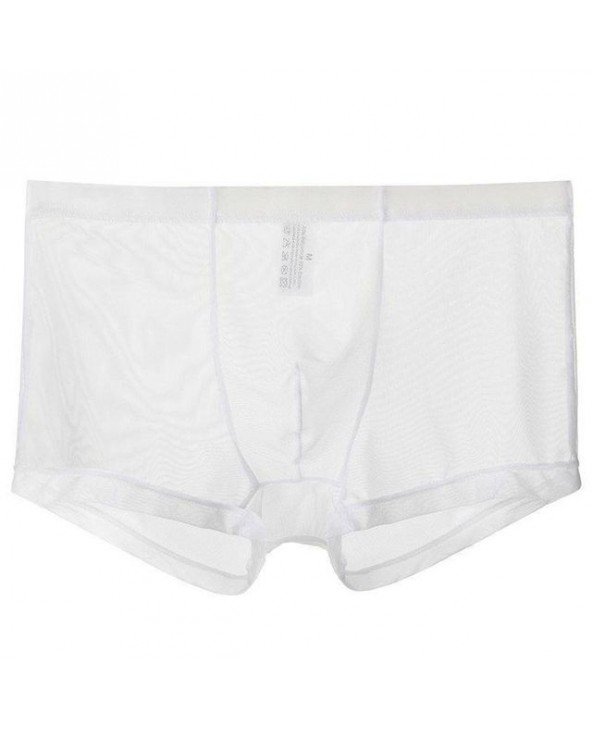Seksuali apranga-Vyrams-Permatomi naktiniai drabužiai Bikinis Vyriškas apatinis trikotažas