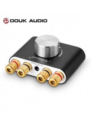 Home Audio & Video-Audio Amplifier Boards-Douk audio Mini