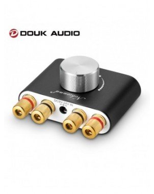 Home Audio & Video-Audio Amplifier Boards-Douk audio Mini