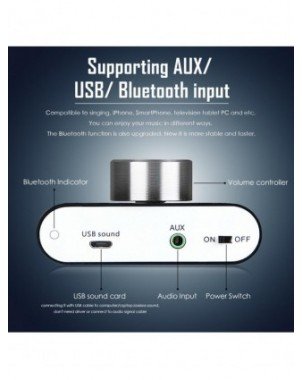 Home Audio & Video-Audio Amplifier Boards-Douk audio Mini