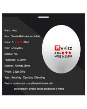 Other Sports Equipment-Various sports equipment-WHIZZ Table